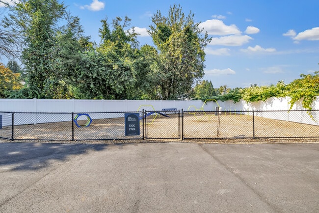 Dog Park