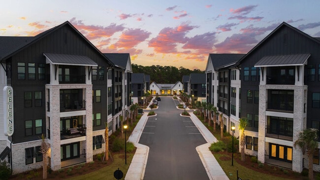 Selene at Sayebrook apartments — community photo