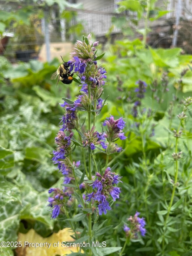 Photo - 910 Bernard Ave