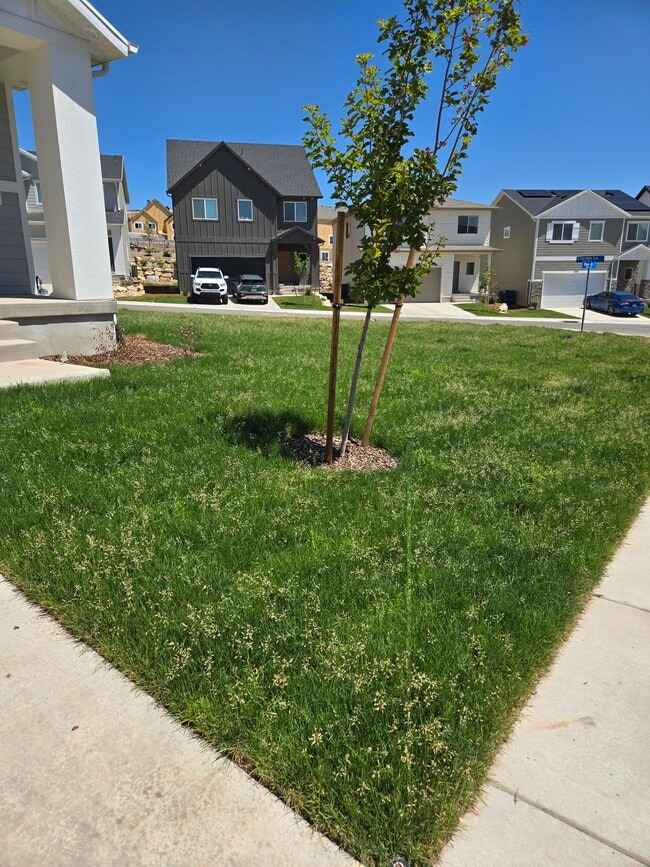 Photo - 1508 W Charmer Ln