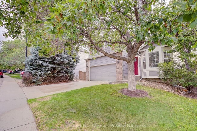 Photo - 9641 Cove Creek Dr