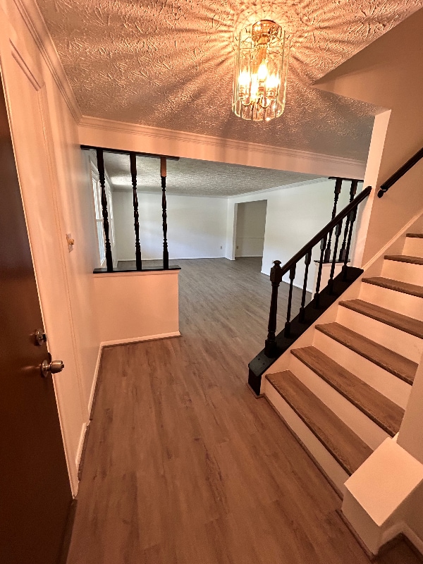 Photo - 1200 Cabinwood Pl