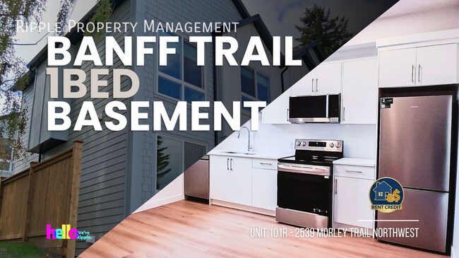 Building Photo - SPACIOUS 1 BEDS, 1 BATHS LOWER SUITE | PRIVATE REAR ENTRY & ABUNDANT NATURAL LIGHT