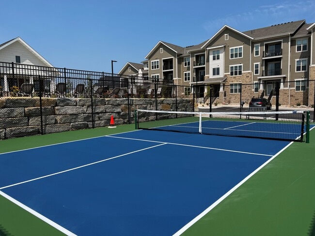 Pickleball Court