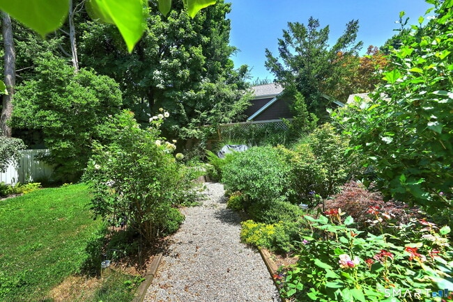 Photo - 35 Wilkins St