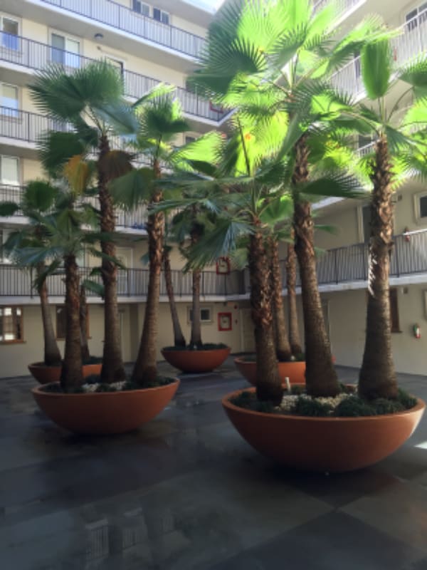 Photo - 7100 Hillside Ave Unidad 105