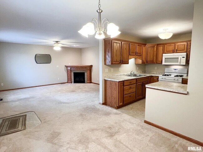 Living room and kitchen