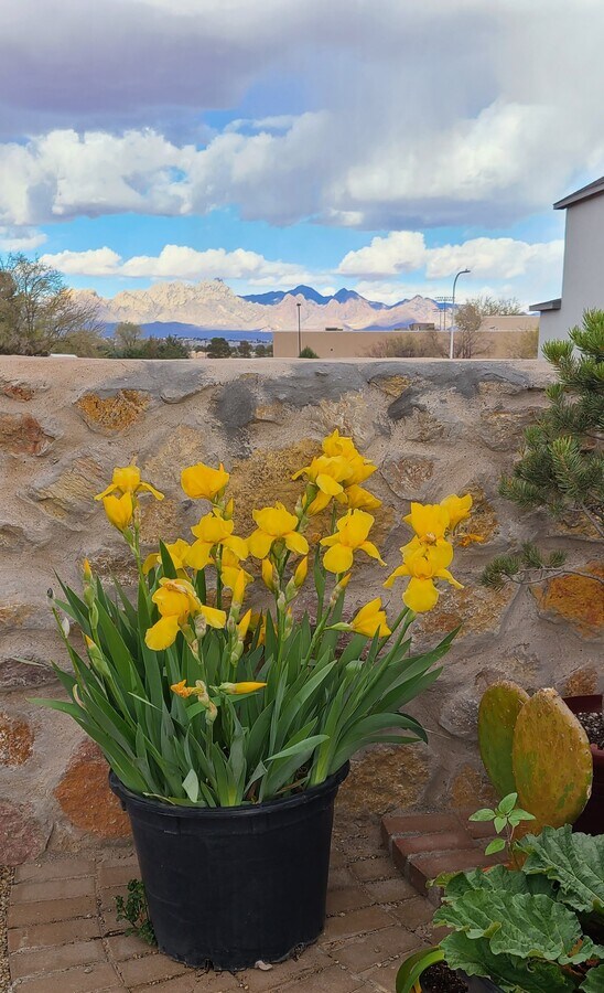 Photo - 2807 Ocate Ct Casa