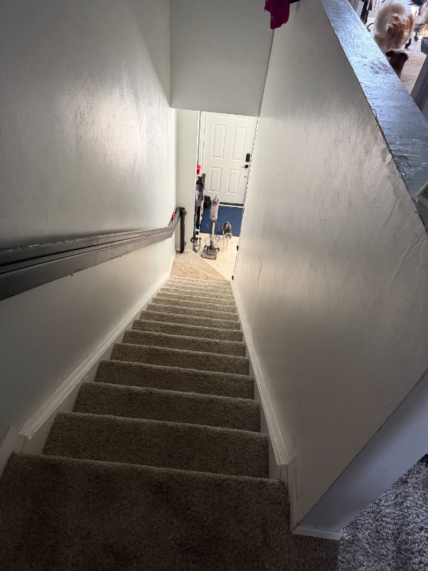 Photo - 3646 Pine Oak Cir