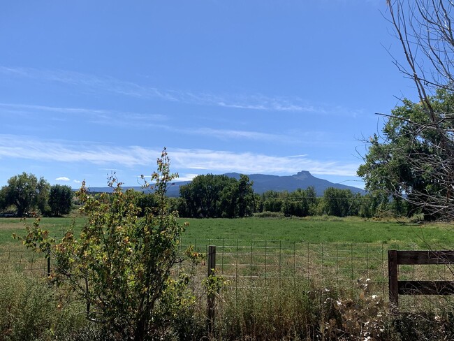 Photo - 15800 Co Rd 75