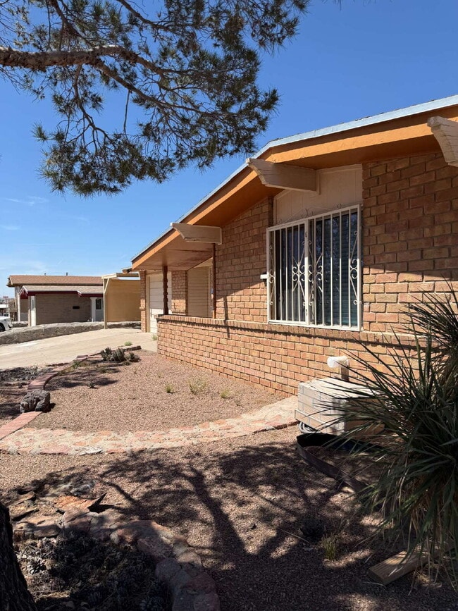 Photo - 10449 Chinaberry Dr