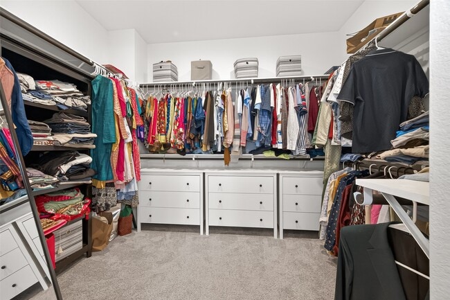 Building Photo - 6638 Albany Forest Ct