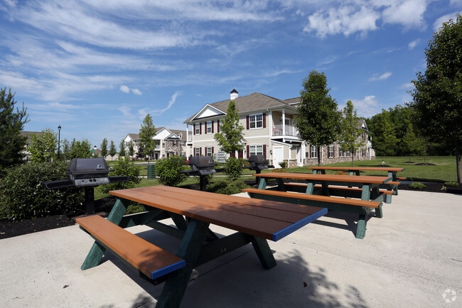 Picnic/BBQ Area