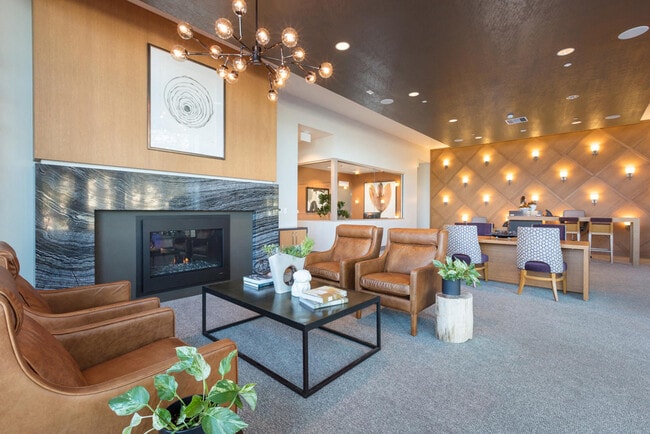 Photo - The Standard (CA)