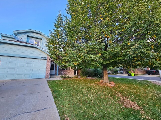 Photo - Fabulous 4 Bed Home Near Buckley Space For...