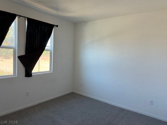 411 Hellebores Ave