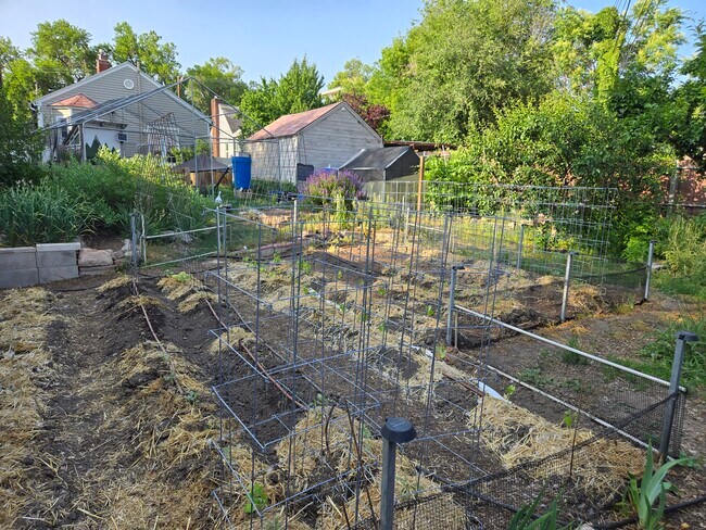 Backyard - 864 E 200 S