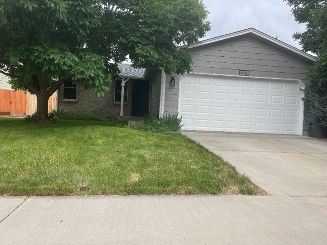 Photo - 8641 Apache Plume Dr