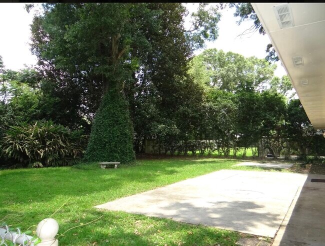 Photo - 107 Essex St