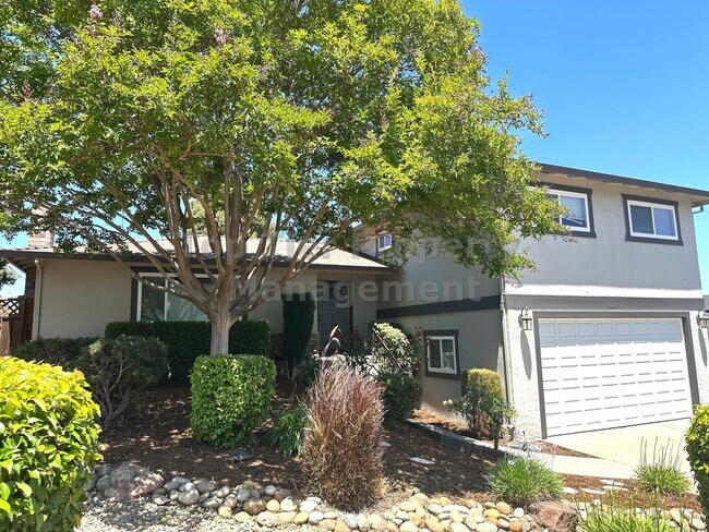 Photo - Spacious 4 Bed / 2.5 Bath / 2,106 Sqft Mar...
