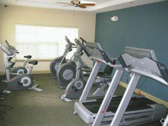 Gimnasio