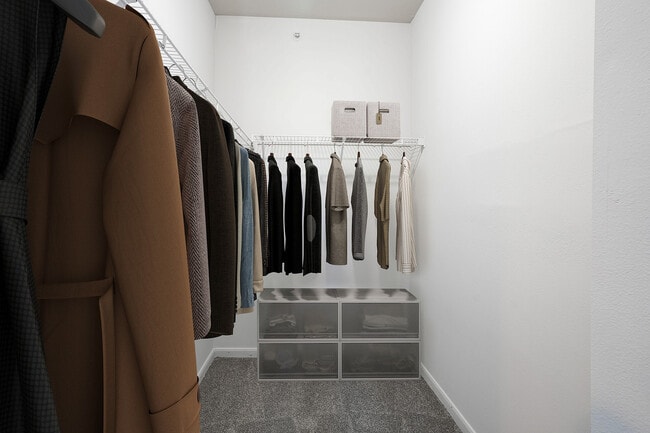 Oxmoor_2026_Closet_VirtuallyStaged