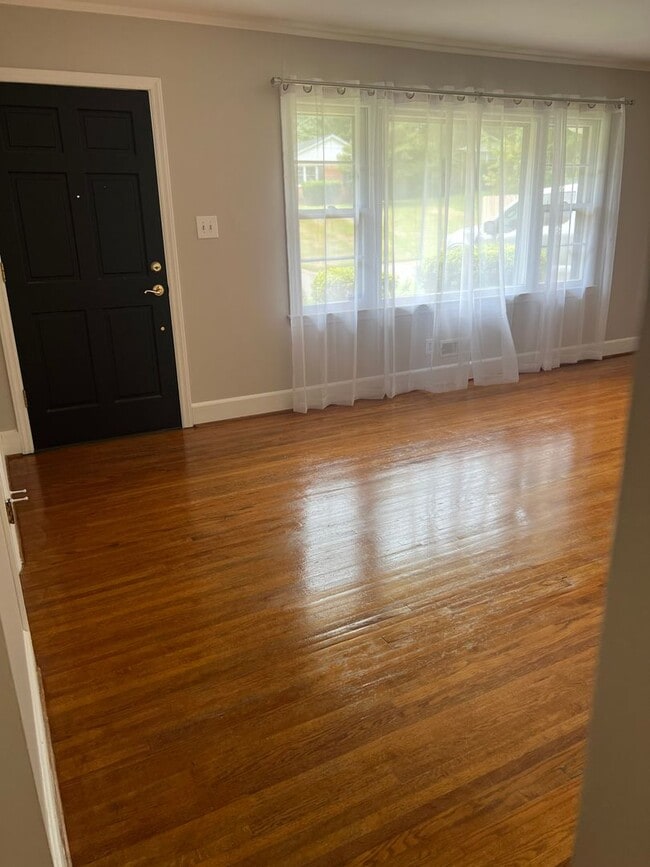Photo - AVAILABLE TO SHOW!