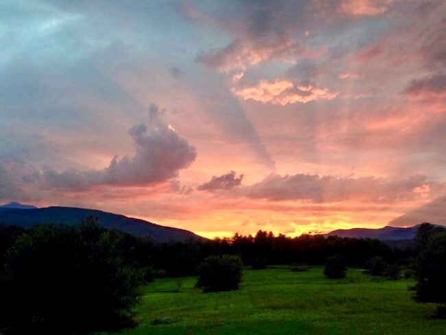 Photo - 475 Black Bear Holw