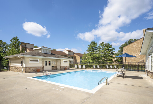 The Apartments at Elmwood Terrace - The Apartments at Elmwood Terrace