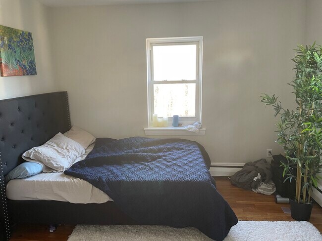 Photo - 45 Selkirk Rd