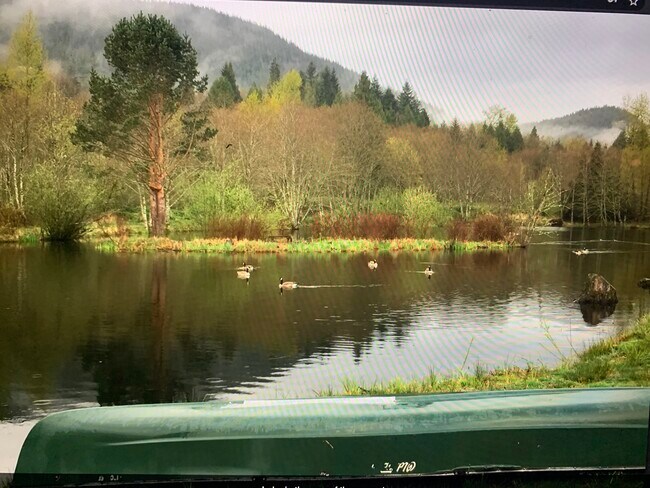 Photo - 61716 East Hwy 26 Cabin #6 Unidad Cabin #6