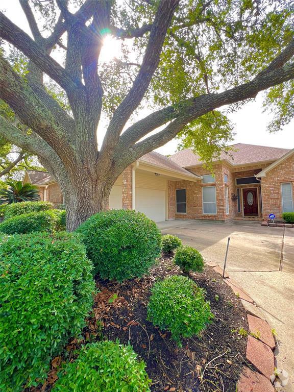 Building Photo - 4306 Shady Pine Dr Rental