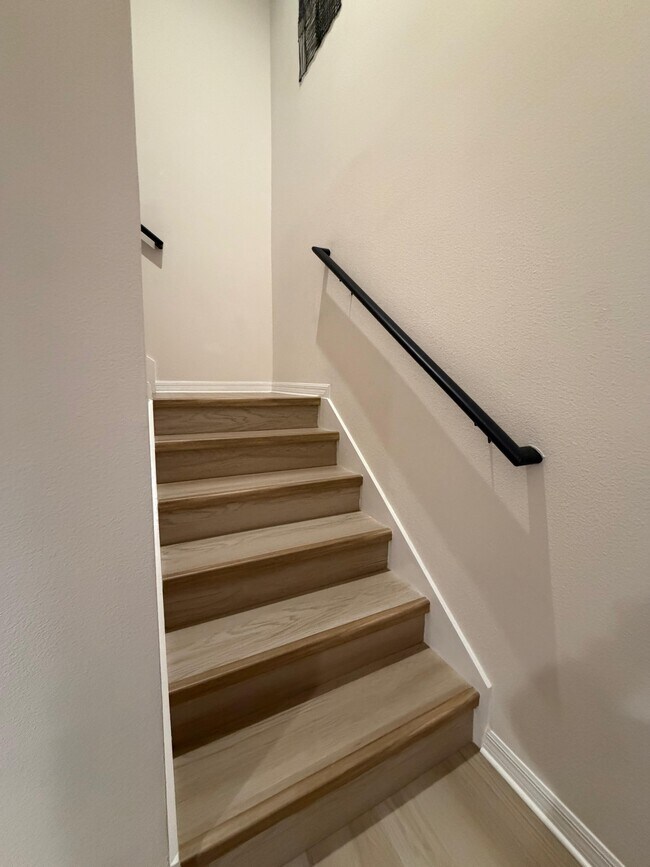 Photo - 4903 Conifer Cone Dr