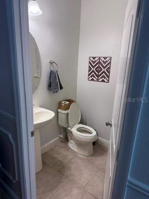 8121 Atlantic Puffin Street