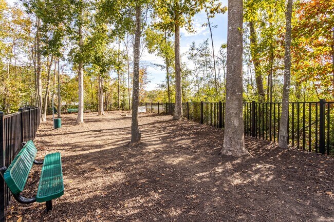Satori West Ashley