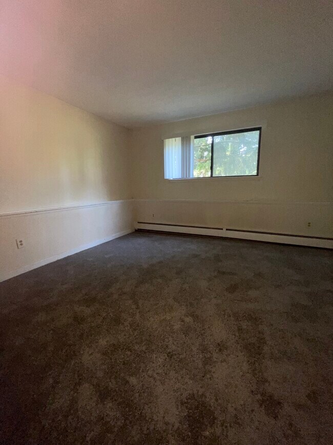 Photo - 343 Oakland St