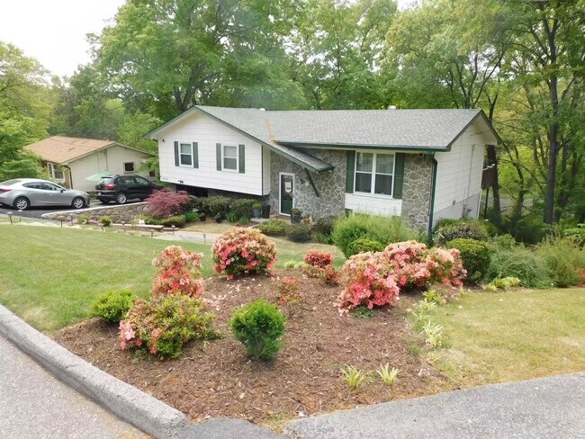 Photo - 4503 Koblan Ct