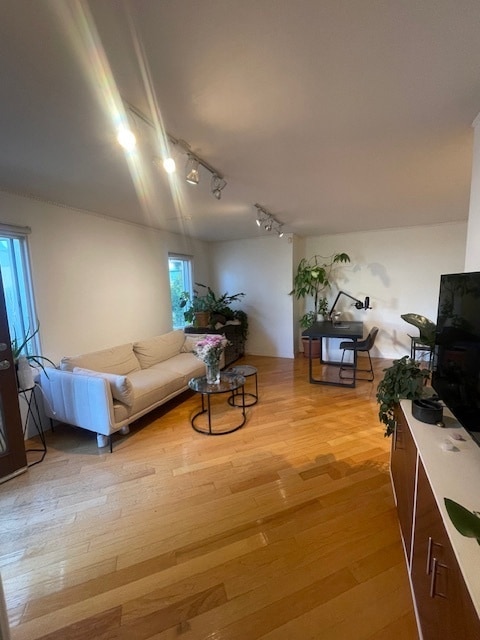 1224 Poinsettia Dr
