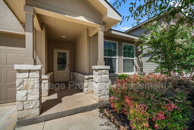 Photo - 15119 Longtailed Duck