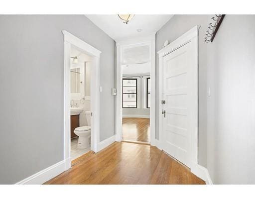 Building Photo - 43 Orkney Rd Unit 3