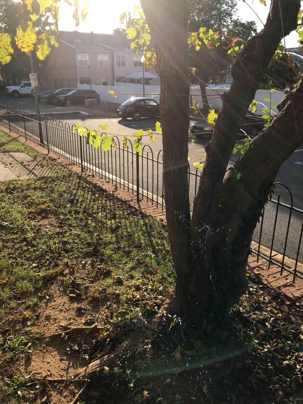 Photo - 37XX Grant Pl NE Unidad 1st Floor Condo