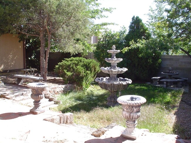 Backyard - 7204 Avenida La Costa NE