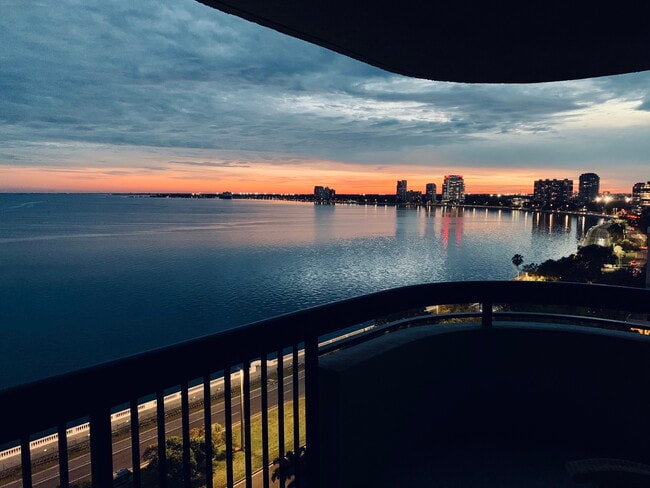 Building Photo - 2413 Bayshore Blvd Unit 1404 Rental