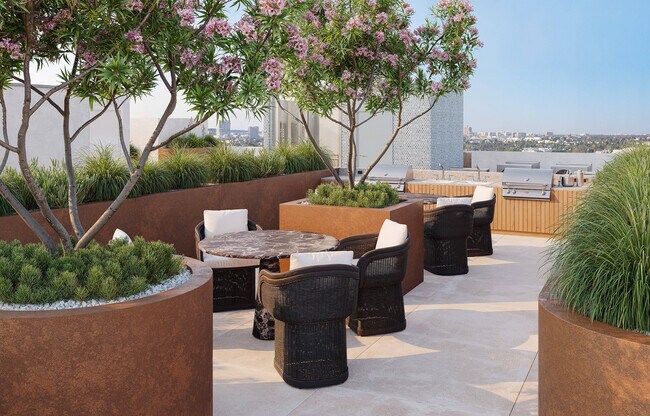 Picora Rooftop BBQ