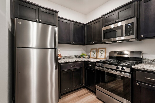 Stainless Steel Appliances