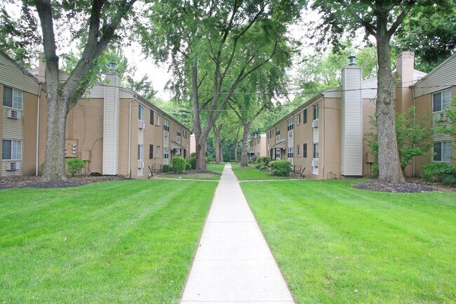 hf-img_0722h-1 - Hidden Forest