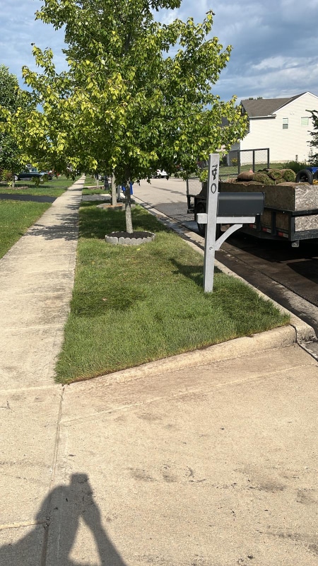 Photo - 270 McElhinny Ln