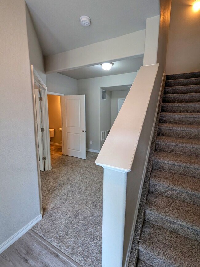 7519 Mount Elbert Pt