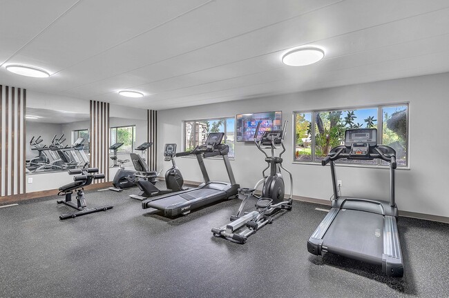 Photo - Haven Hobart