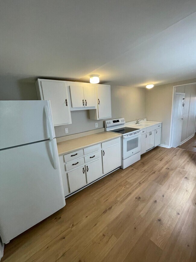 kitchen - 114 Mercer St House Unit 114